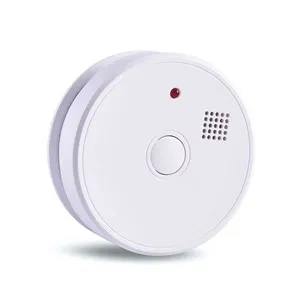 Tsev Security tswb Systems